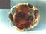 Fruttiera ceramica dipinta. cm. 50x40. 1993.